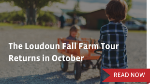 Fall Farm Tour