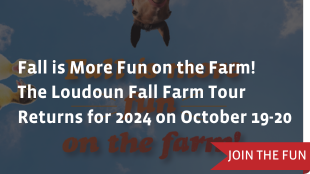 Fall is More Fun on the Farm! The Loudoun Fall Farm Tour Returns for 2024 on October 19-20