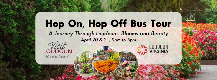 Hop on Hop Off Bus Tour