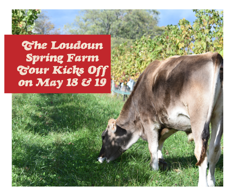 The Loudoun spring farm tour kicks off on May 18 and 19