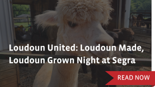 Loudoun United Loudoun Made Loudoun Grown Night at Segra