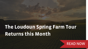 The loudoun spring farm tour returns this month