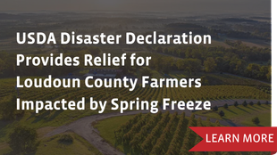 USDA Disaster Declaration Provides Relief for Loudoun County Farmers Impacted by Spring Freeze